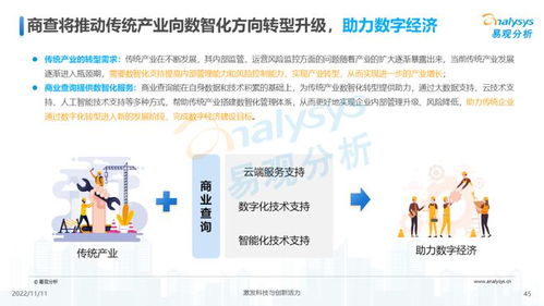 透視用戶需求深挖服務潛力 2022中國商業查詢行業洞察